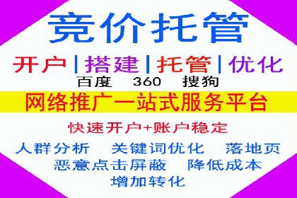 某行业巨头如何利用百度推广服务费提升业绩